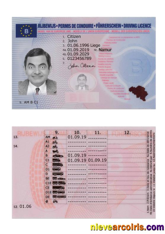 Belgium driving license 2019-present